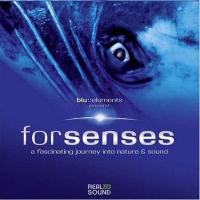 BD25G 索尼音乐顶级蓝光试机碟 FORSENSES