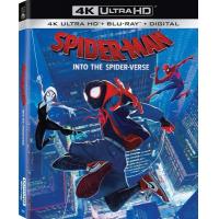 4K-UHD 蜘蛛侠平行宇宙 2018 豆瓣8.7 HDR10 蜘蛛侠 跳入蜘蛛宇宙 SPIDER MAN A NEW UNIVERSE （2018）