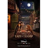 BD25G 小姐与流浪汉 2019 豆瓣6.8 高清版 小姐与流氓 LADY AND THE TRAMP (2019）