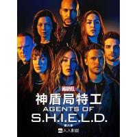 BD25G 神盾局特工 第六季 2碟 豆瓣8.6 高清版 AGENTS OF S.H.I.E.L.D. SEASON 6 （2019）不兼容PS