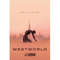 BD25G 西部世界 第三季 3碟 豆瓣8.6 高清版 WESTWORLD SEASON 3 （2020）