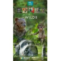 BD25G 荒野间谍 第二季 2碟 豆瓣9.5 SPY IN THE WILD SEASON 2（2020） 