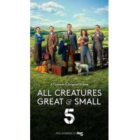 BD25G 万物生灵 2020连续剧 豆瓣9.4 高清版 ALL CREATURES GREAT AND SMALL （2020）不兼容PS 豆瓣9.4