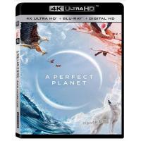 4K UHD BBC 完美星球 2碟装 A PERFECT PLANET (20...