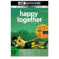 4K UHD 春光乍泄/春光乍洩 港产片 HAPPY TOGETHER ( (1997)豆瓣评分：9.0