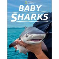 BD25G 鲨鱼宝宝成长记+鲨鱼王国 2022 国家地理出品关于鲨鱼的无与伦比的...