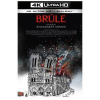 4K UHD 燃烧的巴黎圣母院 NOTRE DAME BRÛLE (2022)