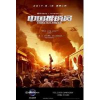 BD25G 中国推销员 2017 豆瓣4.1