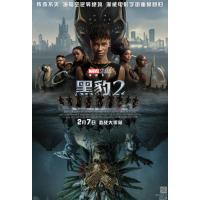 BD25G 黑豹2：瓦干达万岁 正式版 2022年美国上映漫威大片