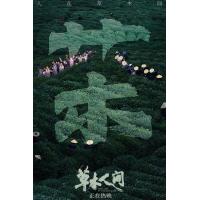 BD25G 草木人间 2024年由顾晓刚执导反传销题材电影