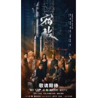 BD25G 宿敌：山河无名 2碟装 2024年最新国安反谍剧