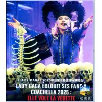BD25G 《LADY GAGA》2025职业生涯最佳现场演唱会 2碟装,