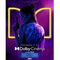 BD25G 芭蕾女刺客 2025年美国上映动作片