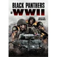 BD25G 二战黑豹 2025