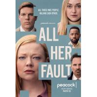 BD25G 都是她的错 2碟装 2025年最新爆款悬疑犯罪剧集