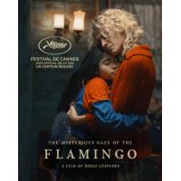 BD25G 弗拉明戈的神秘眼神 2025年法国上映同性剧情片