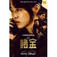赌金 2碟装 2026韩国朴宝英 金圣喆主演的犯罪惊悚剧