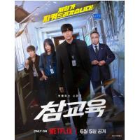 铁拳教育 2碟装 2026年韩国最新上映动作剧集